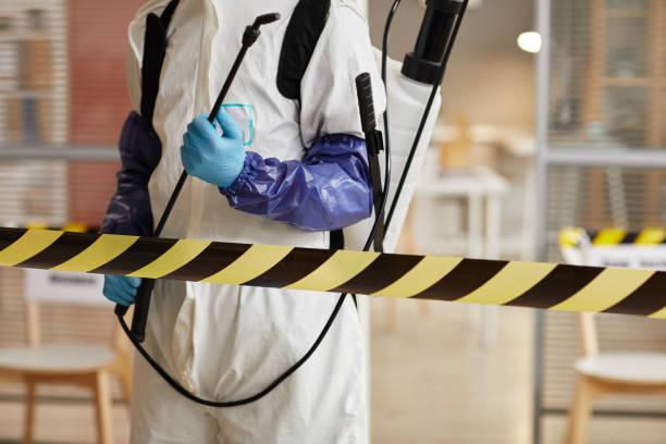 Professional Sewage Cleanup technician working in Tea, SD